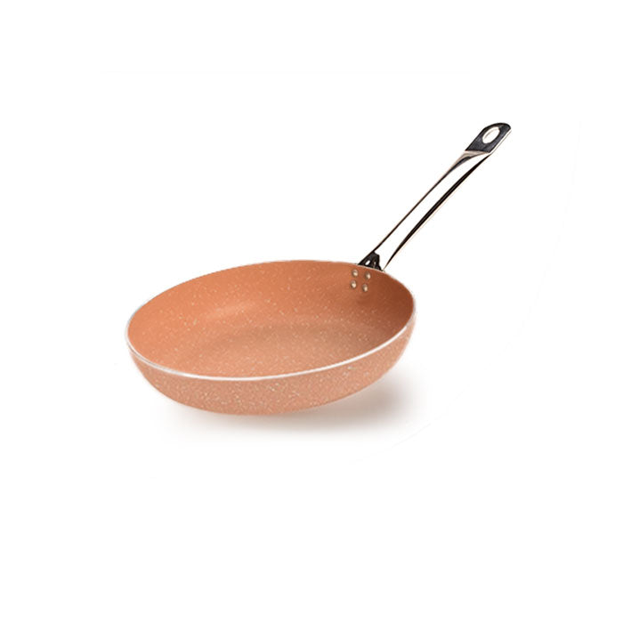 Professional Series 10" Non-stick Frying Pan with Stainless Steel Handle - PC 226F